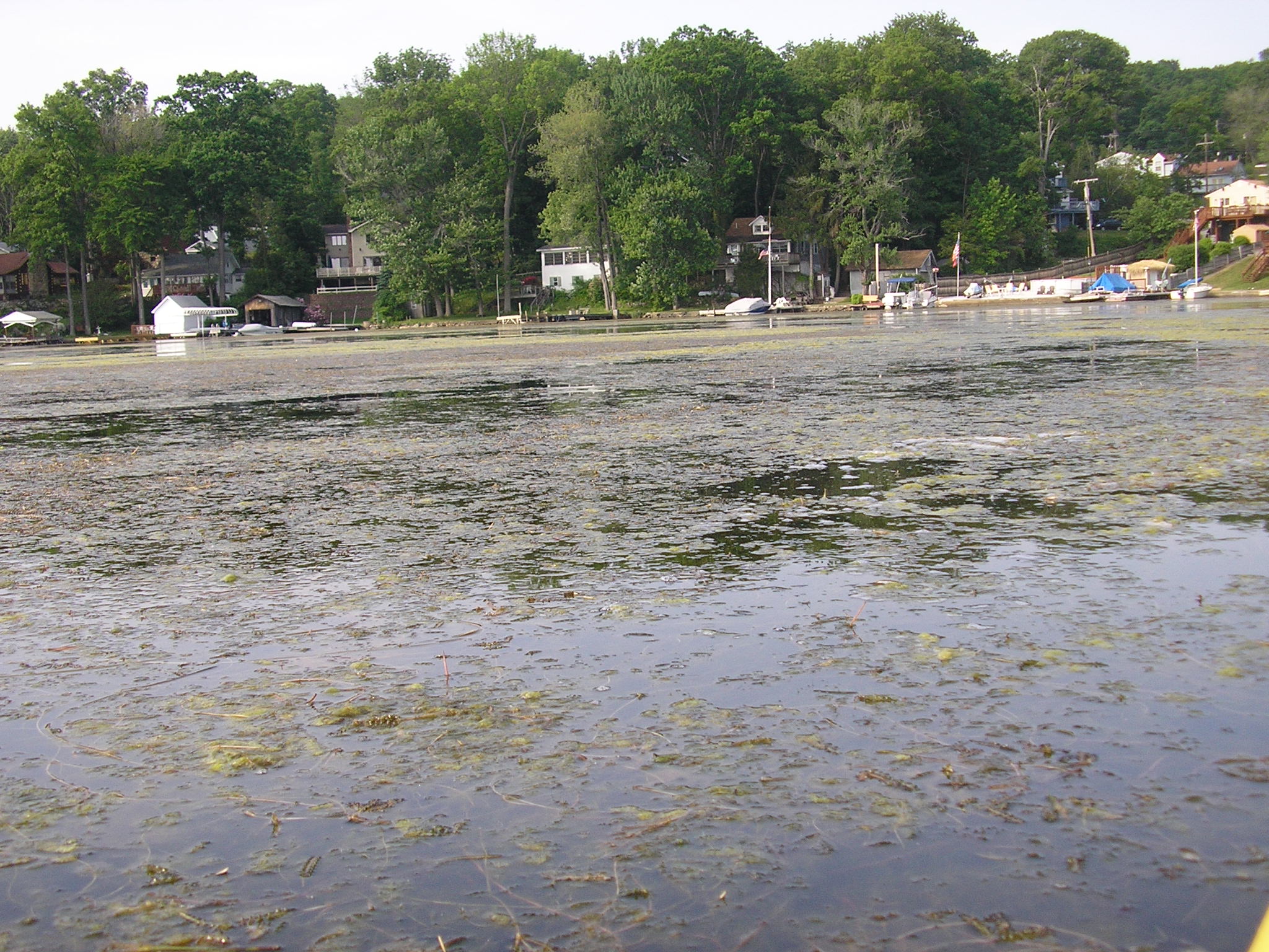 Sherman Island, Lake Hopatcong
